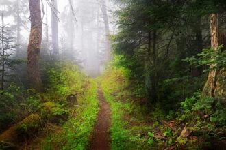 6 Legendary Beings Who Haunt America’s National Parks