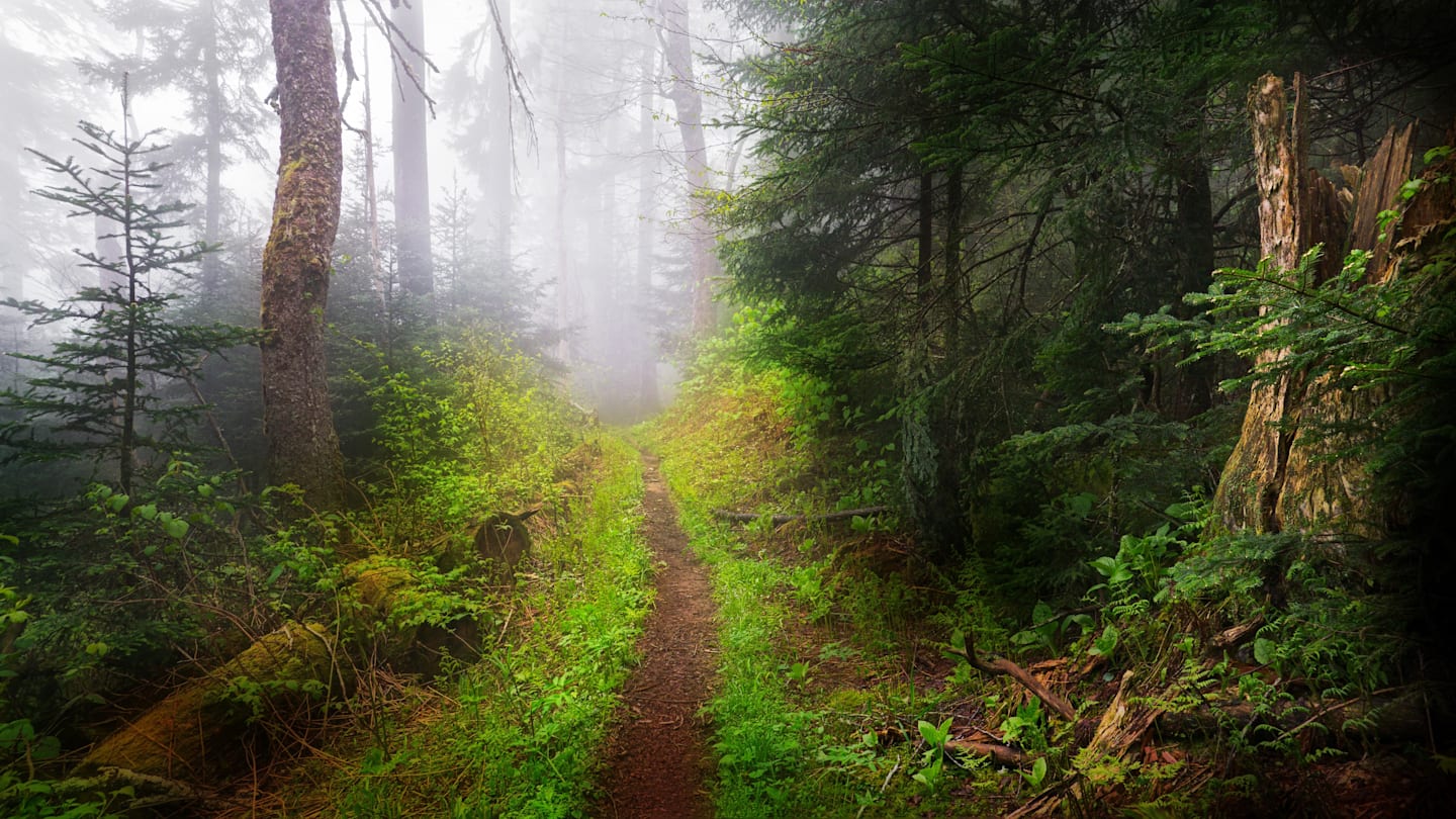 6 Legendary Beings Who Haunt America’s National Parks