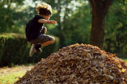 Is Jumping in Leaf Piles Safe?