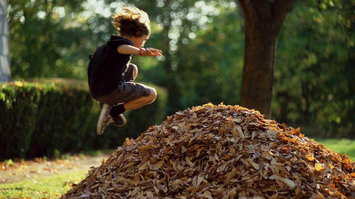 Is Jumping in Leaf Piles Safe?