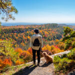 12 of the Best Fall Foliage Hikes in the U.S.—From Alaska to Tennessee