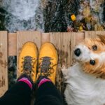 Want to Safely Hike With Your Dog? Consider These 6 Tips From an Expert Dog Trainer