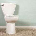 Why Did We Ever Carpet Bathrooms?