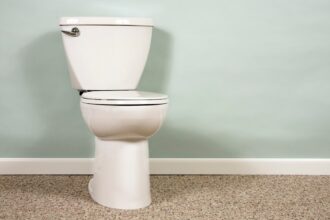 Why Did We Ever Carpet Bathrooms?