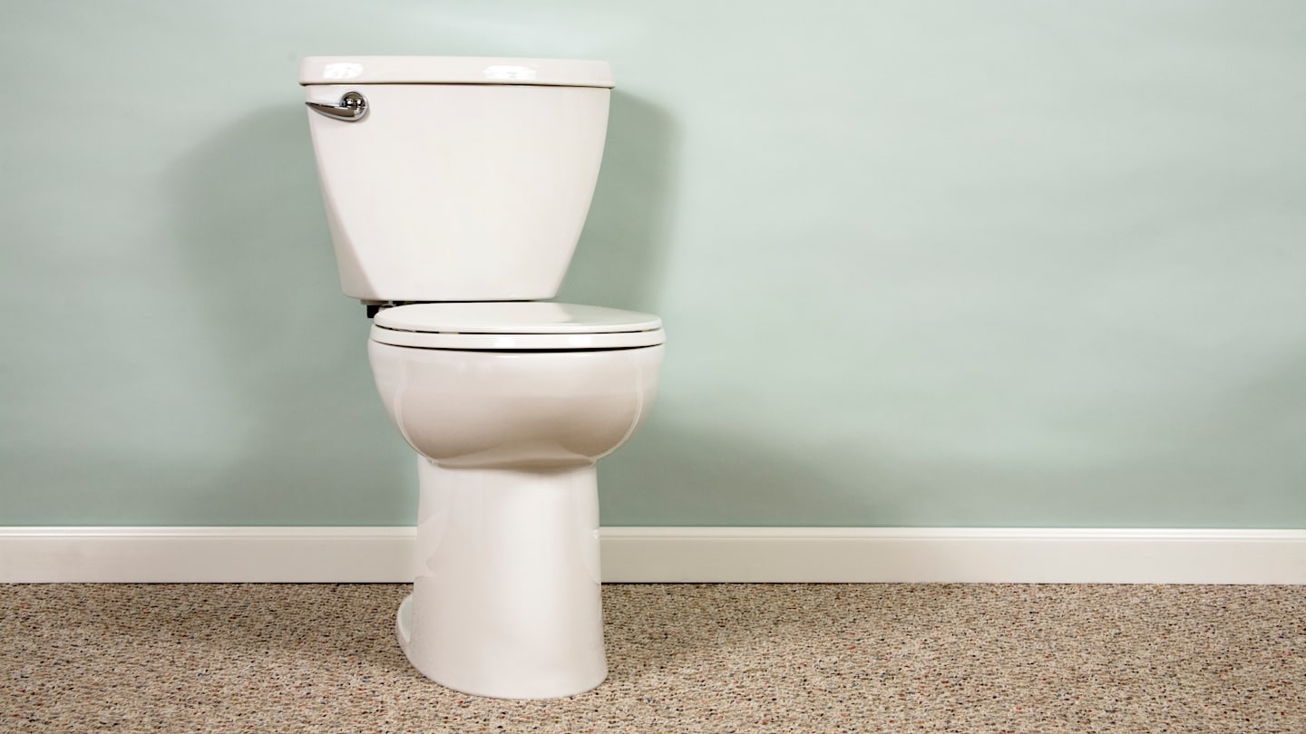 Why Did We Ever Carpet Bathrooms?