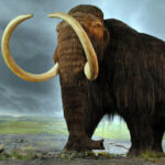 10 Unexpected Things Scientists Made Using DNA