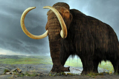 10 Unexpected Things Scientists Made Using DNA