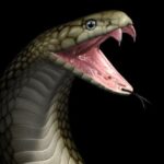 10 Unusual Beverages Made with Strange Ingredients