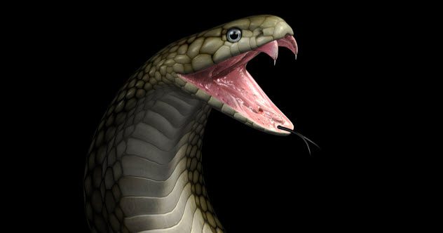 10 Unusual Beverages Made with Strange Ingredients