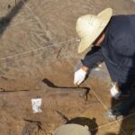 Archaeologists In China Find 300,000-Year-Old Wooden Tools