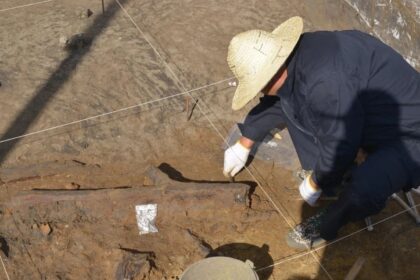 Archaeologists In China Find 300,000-Year-Old Wooden Tools