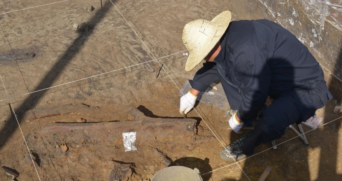 Archaeologists In China Find 300,000-Year-Old Wooden Tools