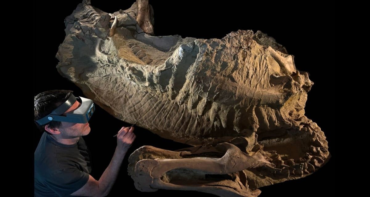 ‘Mummy’ Dinosaur Fossil With Preserved Skin Found In Wyoming