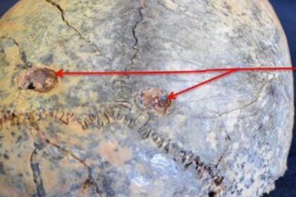 Researchers Use AI To Find That Leopards Ate Our Human Ancestors