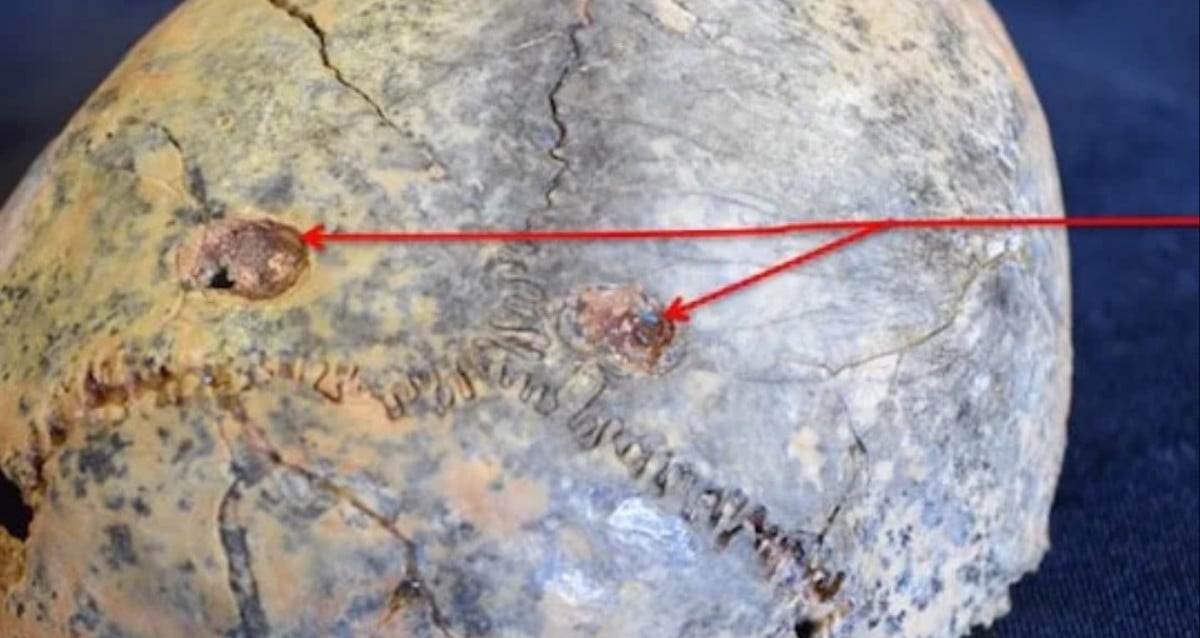 Researchers Use AI To Find That Leopards Ate Our Human Ancestors