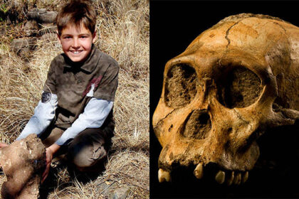 The Missing Link In Human Evolution