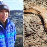12-Year-Old Finds 69 Million-Year-Old Dinosaur Fossil While Hiking