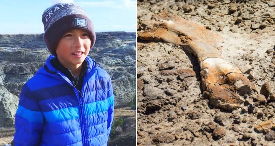 12-Year-Old Finds 69 Million-Year-Old Dinosaur Fossil While Hiking