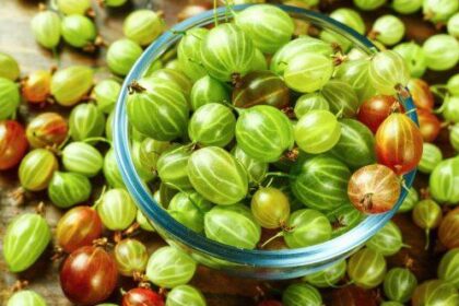 10 Specialty Foods Once Common in America