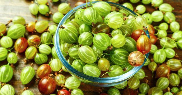 10 Specialty Foods Once Common in America