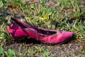 10 Weird Stories Missing People Told When They Were Found