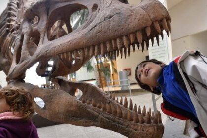 Scientists Figure Out Exactly How Strong A T. Rex Bite Was