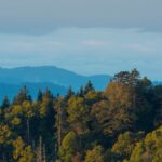 The 10 Best National Parks to Visit in Fall, According to Actual Visitors