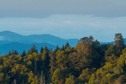 The 10 Best National Parks to Visit in Fall, According to Actual Visitors