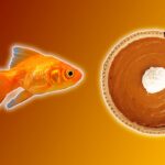 11 Surprising Things You Didn’t Know You Could Bring Through TSA Checkpoints