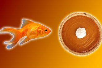 11 Surprising Things You Didn’t Know You Could Bring Through TSA Checkpoints