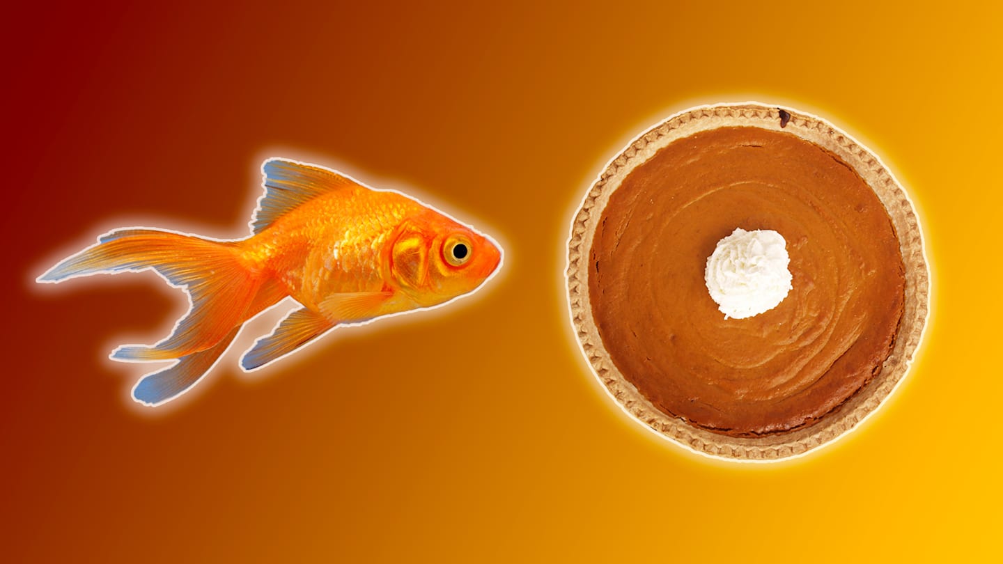 11 Surprising Things You Didn’t Know You Could Bring Through TSA Checkpoints