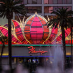 5 Road Trips Based on Famous Books and Movies