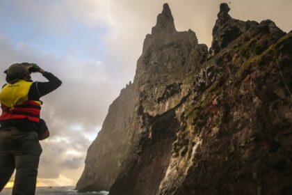 Ball’s Pyramid, The Tallest Volcanic Sea Stack In The World