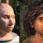 Denisovan Facial Reconstruction Reveals How Our Ancestors Looked