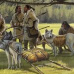 New Studies Reveal The Diversity Of Ancient Dogs
