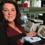 Archaeologists In Estonia Find 10,500-Year-Old ‘Chewing Gum’