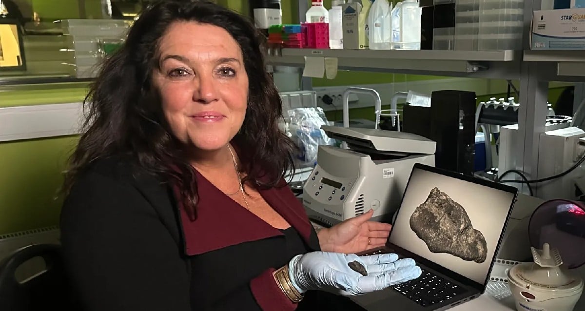 Archaeologists In Estonia Find 10,500-Year-Old ‘Chewing Gum’