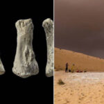 A Finger Bone Is The Earliest Evidence of Humans Outside Africa