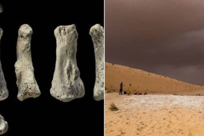 A Finger Bone Is The Earliest Evidence of Humans Outside Africa