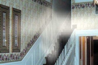 10 Weird Distractions from the Great Depression