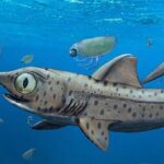 This Prehistoric Shark Rotated Its Jaw To ‘Suction-Feed’ Its Prey