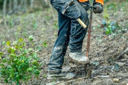 10 Gardeners Who Used Their Green Thumbs for Evil