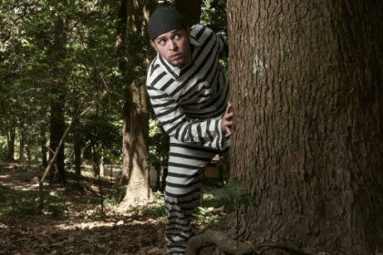 10 Great Escapes That Ended Right Back in Captivity