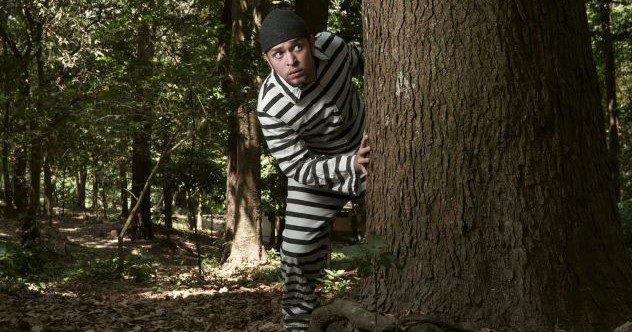 10 Great Escapes That Ended Right Back in Captivity