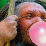 Oldest Scandinavian DNA Found In Ancient Chewing Gum