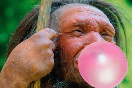 Oldest Scandinavian DNA Found In Ancient Chewing Gum