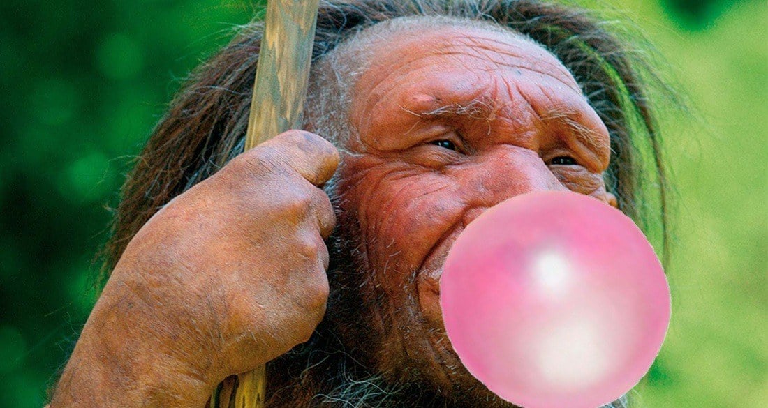 Oldest Scandinavian DNA Found In Ancient Chewing Gum