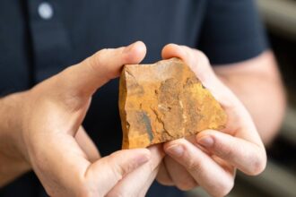 Amateur Fossil Hunter Discovers New Species Of Midge