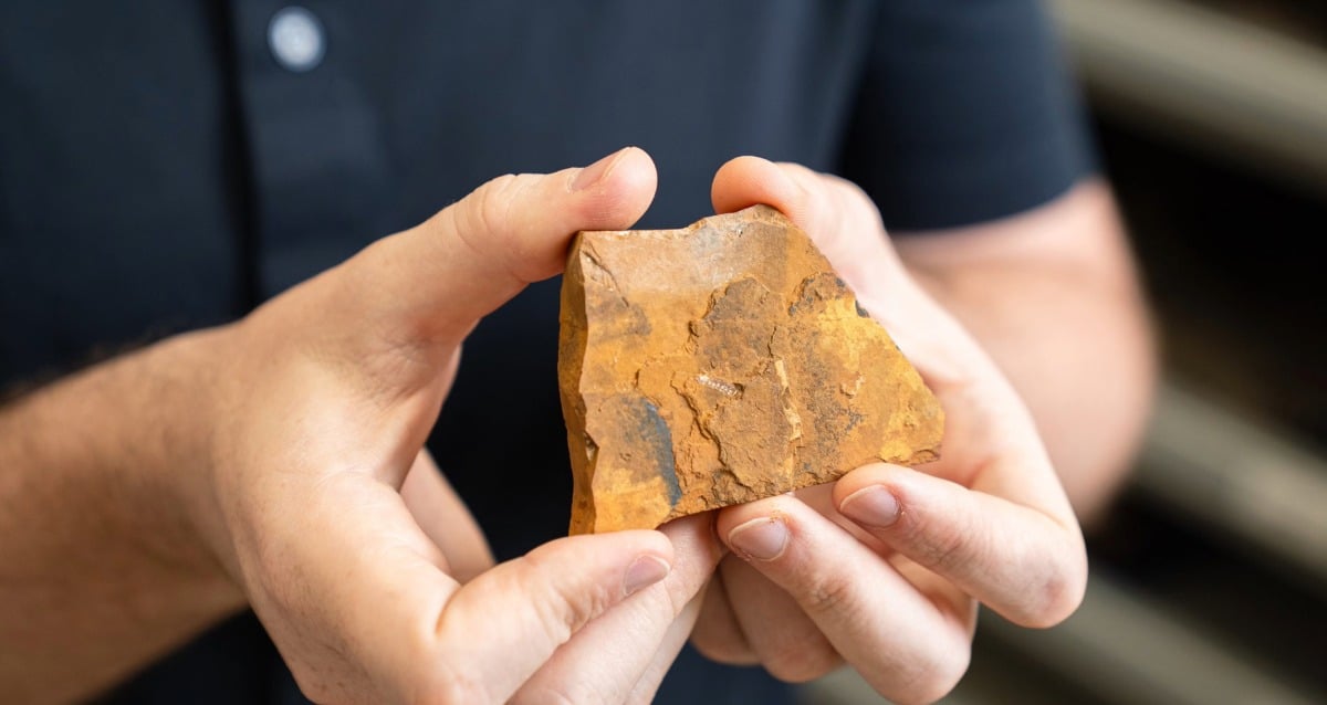 Amateur Fossil Hunter Discovers New Species Of Midge