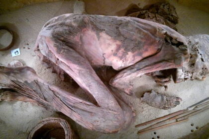 5,600-Year-Old Mummy Upends Notions About Ancient Egyptian Embalming